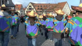 TaunusKarnevalszug in Oberursel 2014 [upl. by Critchfield]