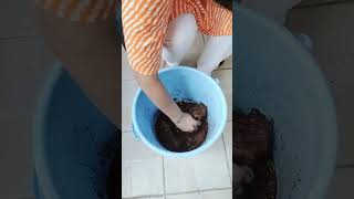 Cocopeat ka use kese kare [upl. by Urson559]