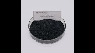 kelp seaweed fertilizer powder [upl. by Attaynik]