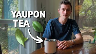 Harvesting and Brewing Yaupon Tea Guide to North Americas Native Caffeinated Beverage [upl. by Cerallua]