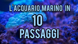 Come allestire e conoscere un acquario dacqua salata in 10 passaggi  Filos aquarium [upl. by Stag]