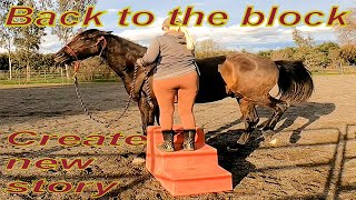 Mounting block training VLOG 233 animals beautiful motivation horse goals health cute [upl. by Yelrahs]