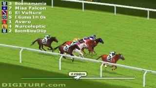 Best Virtual Horse Racing Game [upl. by Riess750]