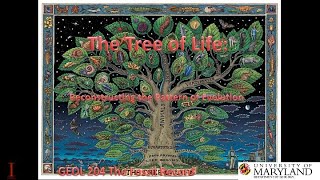 Lecture 8 The Tree of Life Reconstructing the Pattern of Evolution [upl. by Laefar]