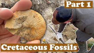 Marine fossils in the mountains Camping in the wild  Part 1 [upl. by Lodnar]