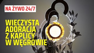 Adoracja Najświętszego Sakramentu z Kaplicy Wieczystej Adoracji w Węgrowie  transmisja na żywo 247 [upl. by Ancel688]