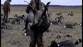 Goose Hunting with Absolutely Canadian Outfitters [upl. by Nodnol]