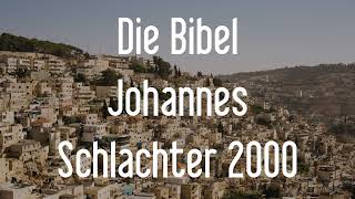 Das Johannes Evangelium  Die Bibel als Hörbuch Schlachter 2000 [upl. by Hairym]