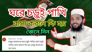 ঘরে চড়ুই পাখি বাসা করলে কি হয়  বাড়িতে পাখির বাসা  study tips চড়ুই পাখি ঘরে বাসা করলে কি হয় [upl. by Carree]