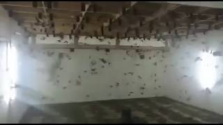 Swiftlet houses Malaysia 20180629140955m2ts [upl. by Abehshtab17]