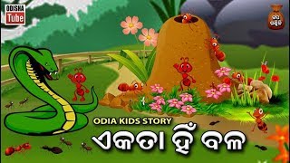 ଏକତା ହିଁ ବଳ  Odia Children Story  Educational Video  Odisha Tube [upl. by Platto]