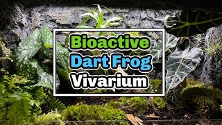 Bioactive Dart Frog Enclosure Setup  Nano Vivarium Challenge [upl. by Higginson665]