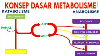 KONSEP DASAR METABOLISME [upl. by Nadda]