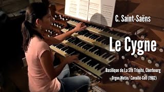 Camille Saint Saëns  Le Cygne extrait du Carnaval des Animaux AnneIsabelle de Parcevaux orgue [upl. by Sharon1]