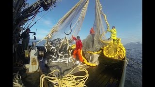 Alaska Fisherman 2016  Purse Seining [upl. by Wendelin]