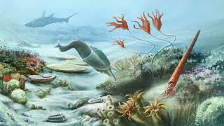 History of the Earth Part 2 Phanerozoic Eon – Paleozoic Era [upl. by Clementi825]