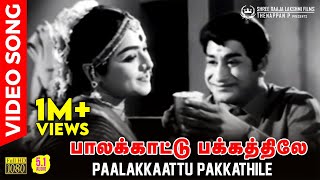 Paalakkaattu Pakkathile HD Video Song  51 Audio  Sivaji Ganesan  Padmini  TMS  P Susheela [upl. by Littell926]