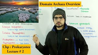 Archaea domain Archaea  Extremophiles [upl. by Coh]