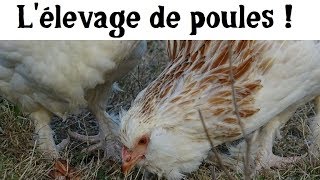 Lœuf ou la poule [upl. by Lazaruk771]