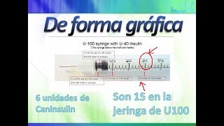 Diabetes Canina Cómo Pinchar Insulina y Medir la Glucosa [upl. by Aiela]