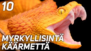 10 MAAILMAN MYRKYLLISINTÄ KÄÄRMETTÄ [upl. by Yendys616]