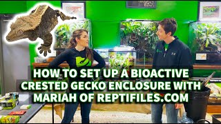 How to set up a Crested Gecko BioActive terrarium with Mariah of Reptifilescom [upl. by Nerfe833]