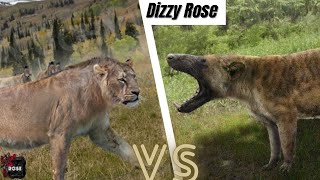 American Lion vs Hyaenodon Gigas 2024 [upl. by Salangia]