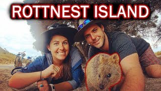 QUOKKA SELFIE SO CUTE  Rottnest Island  Ep81 Roadtrip Australia [upl. by Dode]