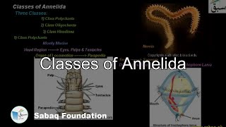 Classes of Annelida Biology Lecture  Sabaqpk [upl. by Yliah806]