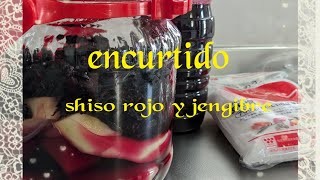 Hacer encurtidos con jengibre y shiso rojo（Esta es la versión japonesa🇯🇵）🙏🥺 [upl. by Hulburt]