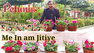 Is Tarike Se Petunia Flower Show Me Inam Jitiye [upl. by Huggins]