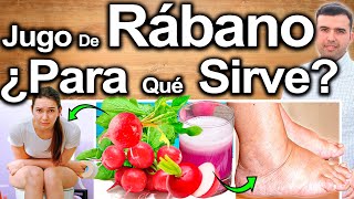 JUGO DE RÁBANO EN AYUNAS  ¿Para Qué Sirve El Rábano  Beneficios Para Tu Salud Y Belleza [upl. by Thill]