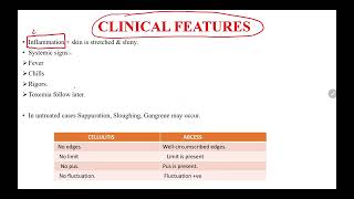 CELLULITIS  A QUICK REVIEW  cellulitis cell biology science education medicalstudent [upl. by Nylear750]