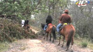 cabalgatas en La Calera Cundinamarca [upl. by Nador267]