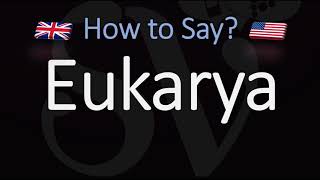 How to Pronounce Eukarya CORRECTLY Meaning amp Pronunciation [upl. by Marsden243]