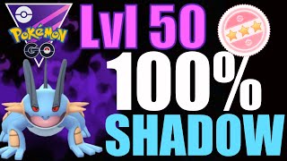 SHADOW 100 SWAMPERT WRECKS IN OPEN MASTERS  GO BATTLE LEAGUE [upl. by Assyle]