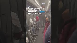 Flight delayed after mosquitos swarm passengers crew inside cabin Shorts [upl. by Treb]