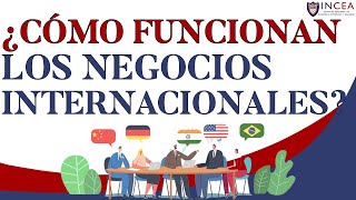 ¿Cómo Funcionan Los Negocios Internacionales [upl. by Tengler92]