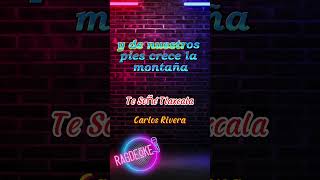 🎤 Te Soñé Tlaxcala  Carlos Rivera  Karaoke 🌙🌄🎶 regionalmexicano karaokeacustico musica [upl. by Naloj416]