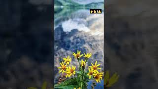 Rawson lake colourful nature kananaskiscountry hiking [upl. by Oletha]