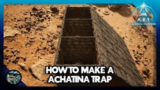 How to Make a Achatina Trap in Ark Survival Ascended [upl. by Leinadnhoj]