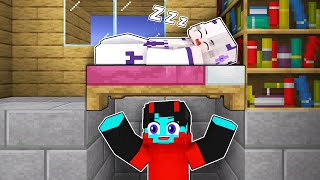 I Spent 24 Hours in Sheyyyns House  Minecraft [upl. by Tessie658]