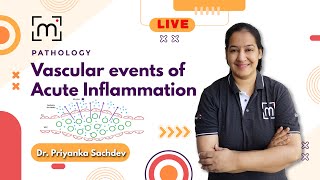 Understanding Vascular Events of Acute Inflammation  MedLive by Dr Priyanka [upl. by Meier659]