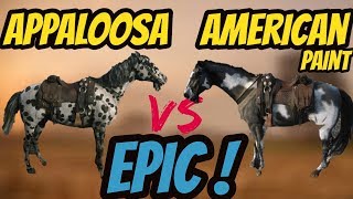 RDR 2 Appaloosa VS American Paint Horse Battle EPIC [upl. by Dlonra]