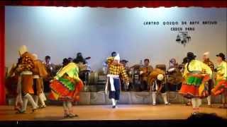 Danza Cocharuna  Ayacucho Folklore Peruano [upl. by Nnyltak482]