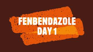 Fenbendazole Day 1 of Week 1 an experiment by a noncancer person [upl. by Aicac]