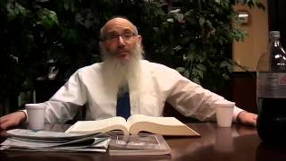 A Healthy Amount Of Heavenly Food  A Class On Parshat Beshalach With Rabbi Yisroel Spalter 5773 [upl. by Hamehseer]