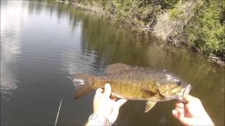 Bass Fishing Flour Lake  Golden Eagle Lodge  62615 [upl. by Stormy828]