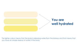 H4H Initiative  How to use the Urine Colour Chart [upl. by Ives]