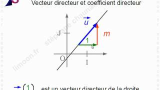 Maths 1èreS  Vecteurs et droites du plan  Mathématiques Première S [upl. by Oicnaneb462]